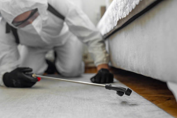 Professional Bed Bug Control technician working in Brentwood, NY