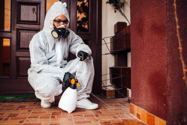 Reliable Bed Bug Control contractor in Brentwood, NY by Nex Pest Control